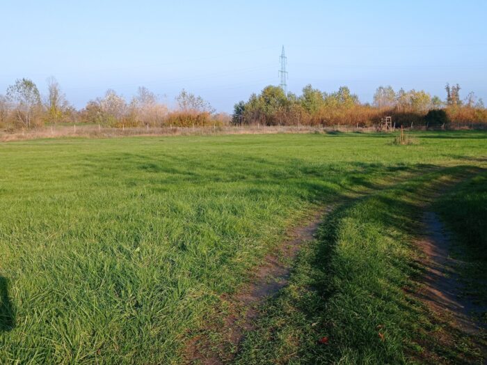 Pozemek o výměře 5838 m2 v obci Bulhary - Image 7